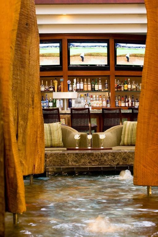 Hyatt Regency Dulles (doublon)