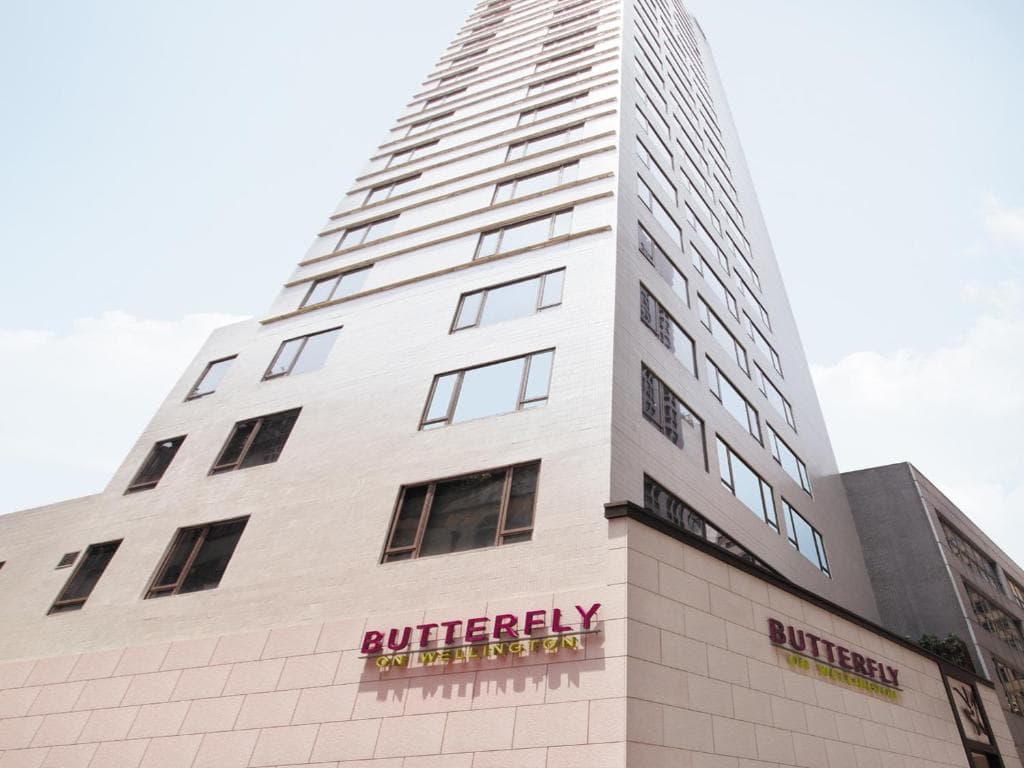 Butterfly on Wellington