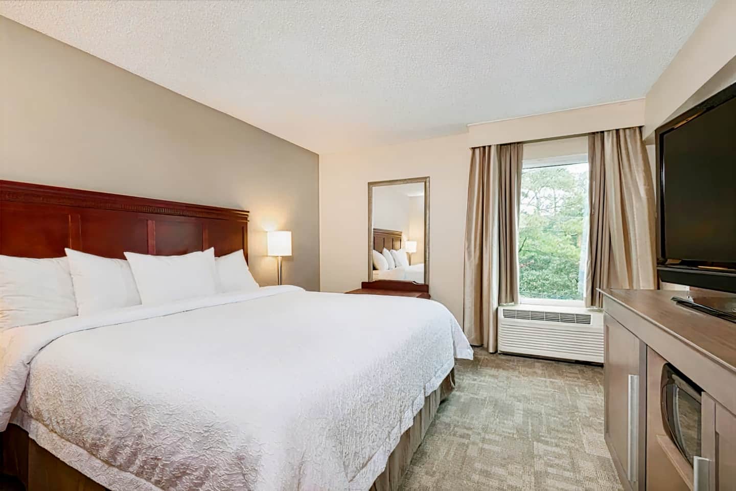 Hampton Inn Houston-Near The Galleria