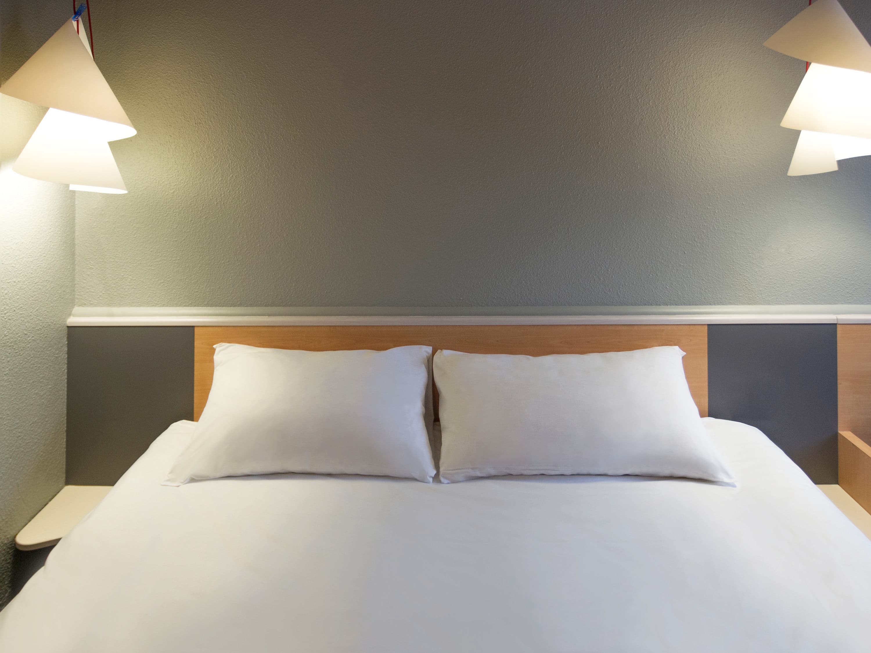 ibis Lyon Gerland Musée des Confluences