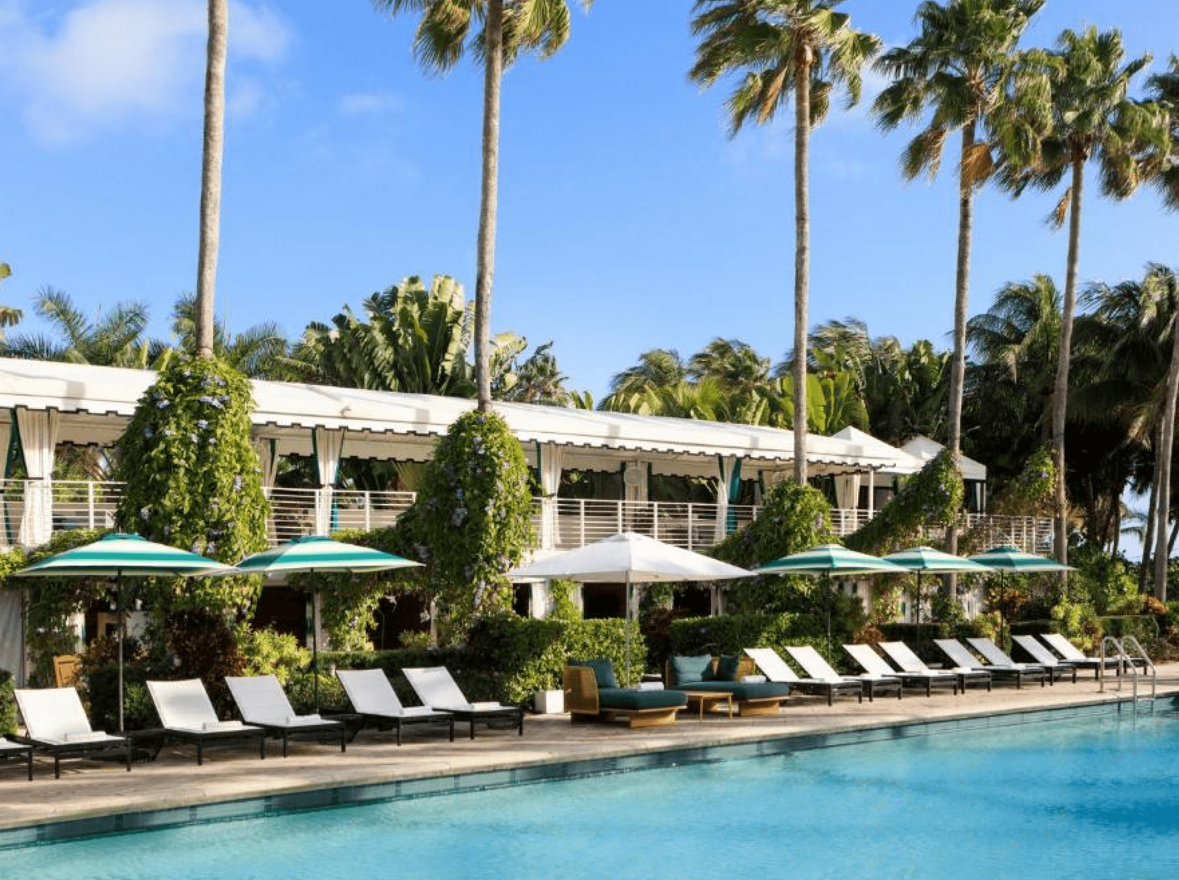 Kimpton Surfcomber Hotel by IHG