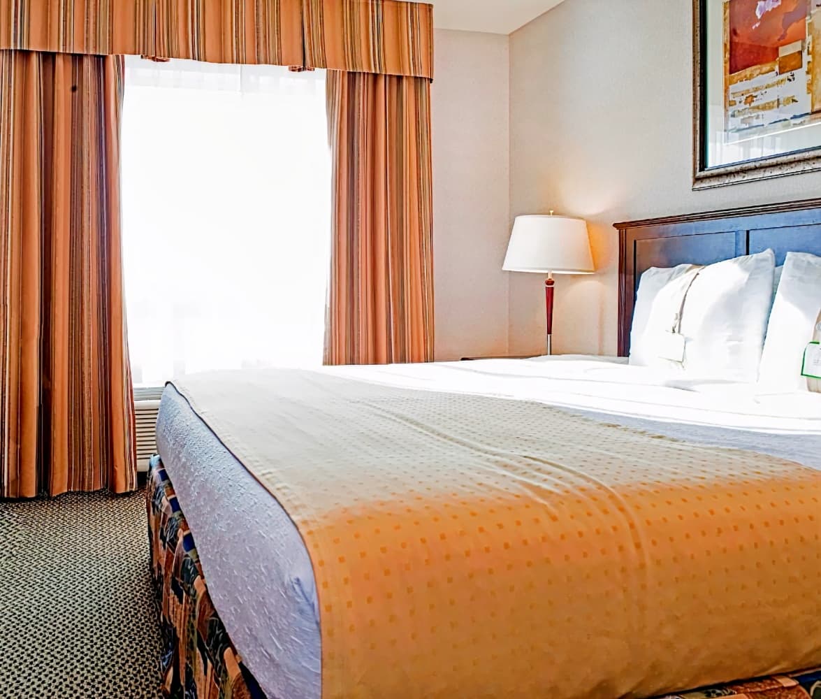 Holiday Inn Hotel & Suites-West Edmonton