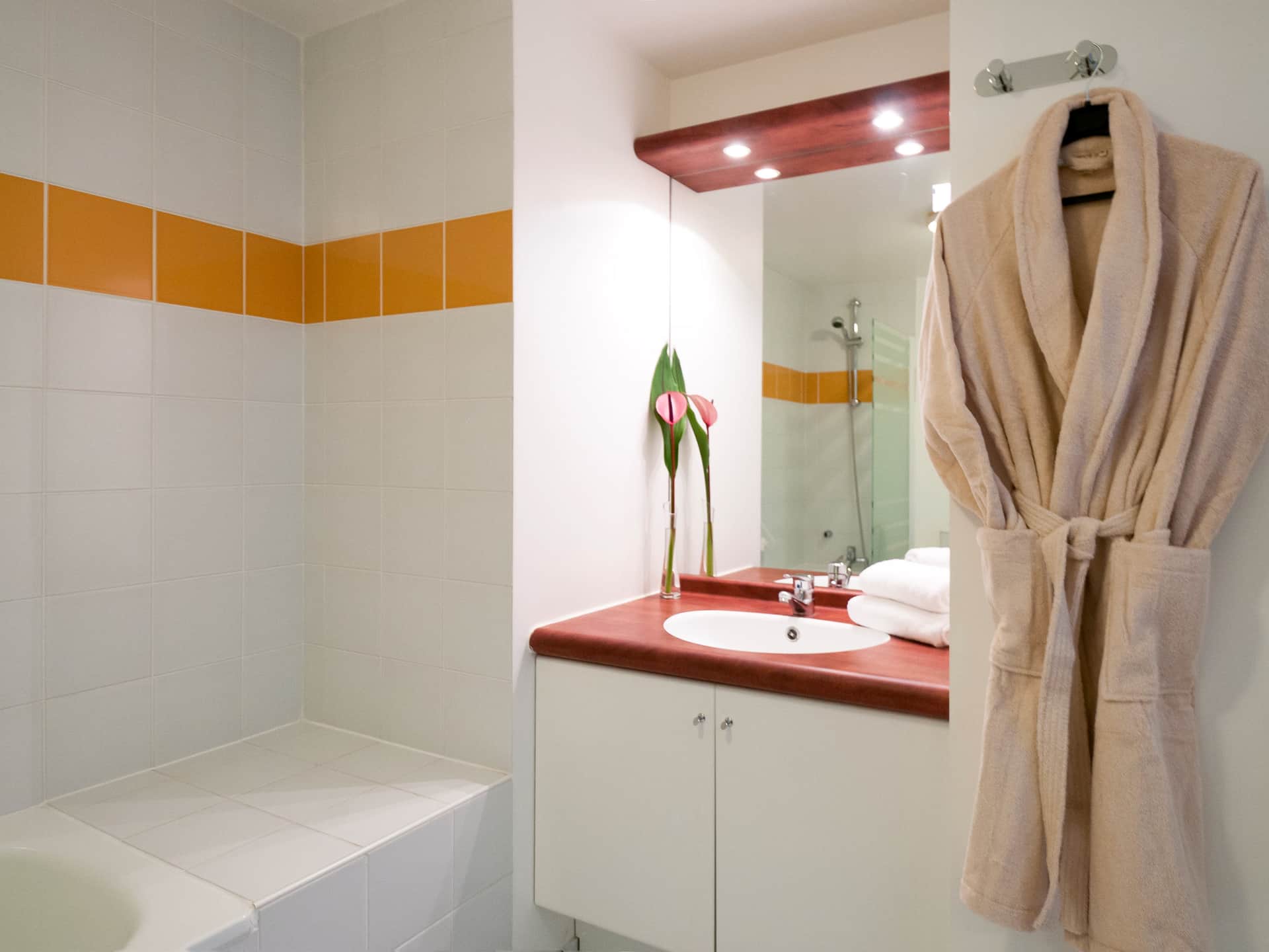 Adagio Access Paris Vanves Porte de Chatillon