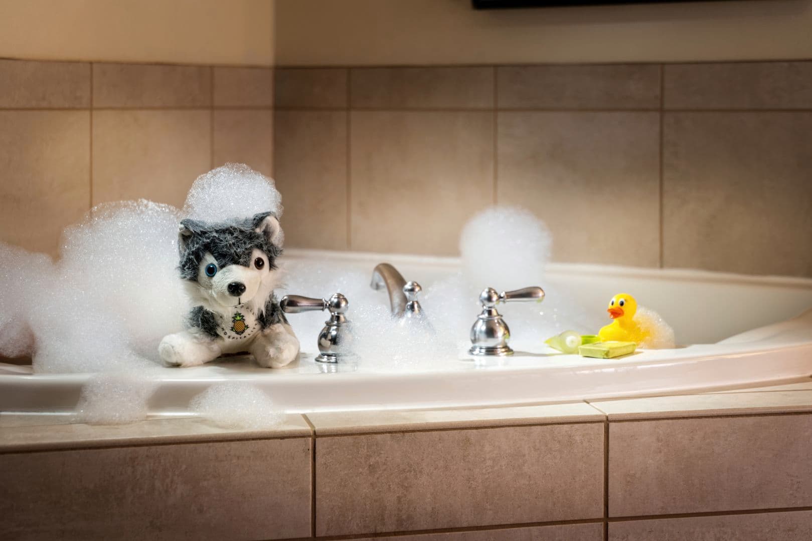 Staypineapple, Watertown, University District Seattle