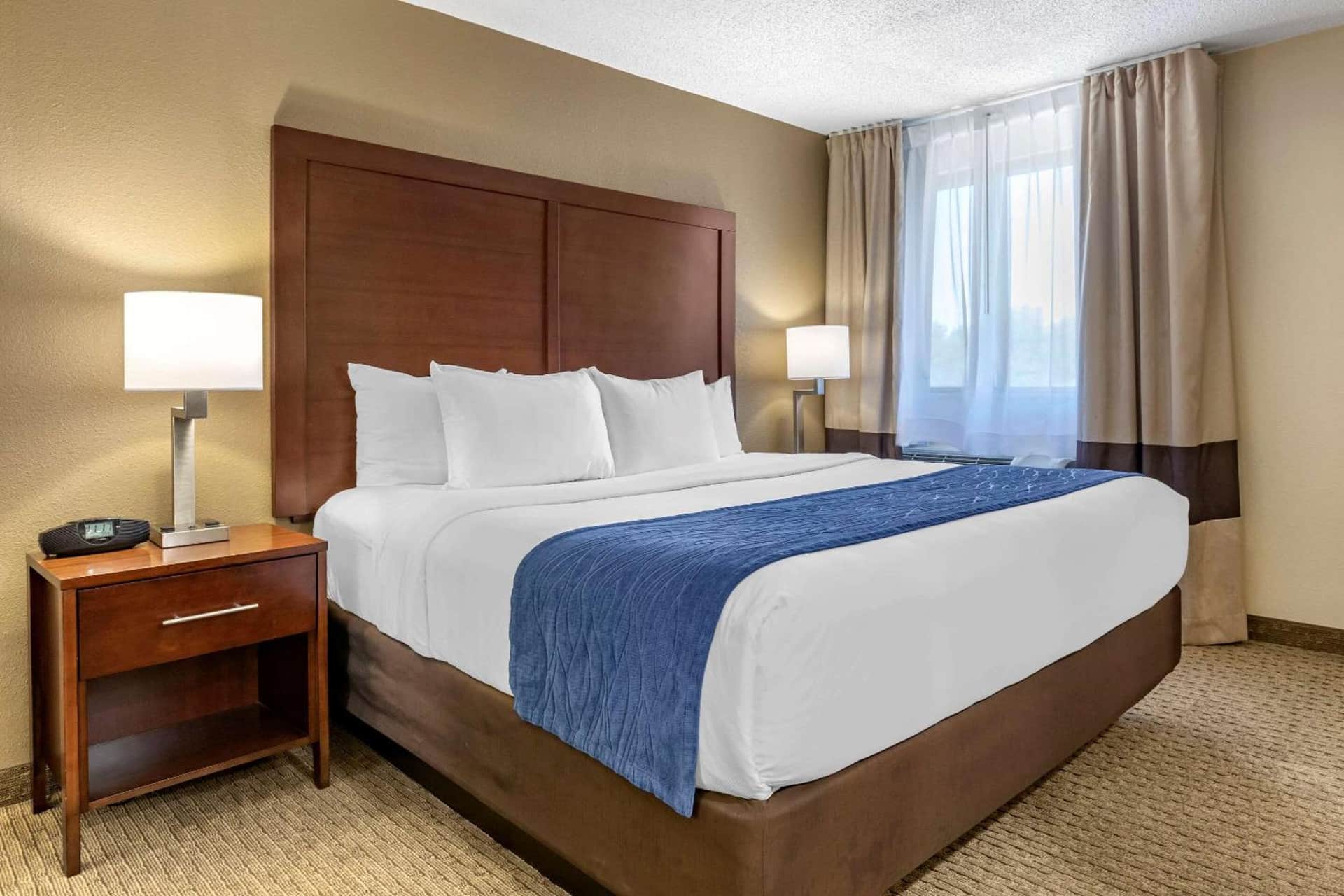 Comfort Inn Near Greenfield Village